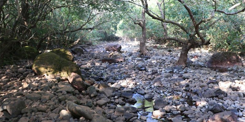 Vasota Jungle Trek