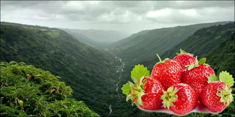 Beauty of Panchgani