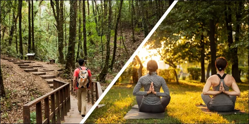 Unique Experiences in Mulshi Pune