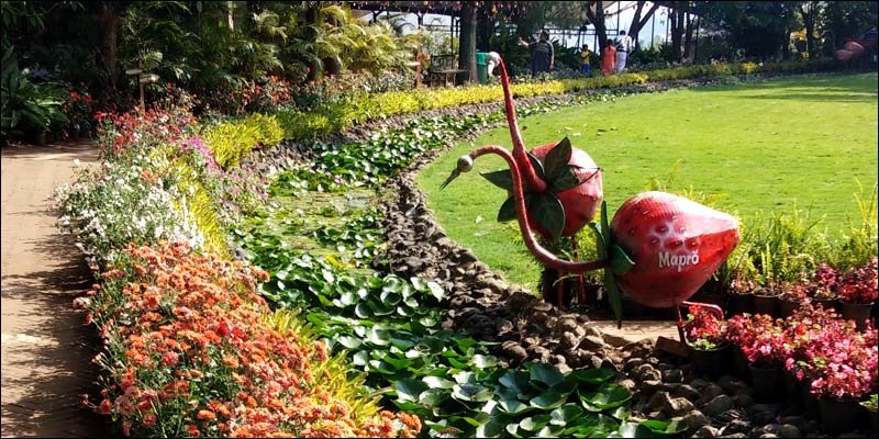 Mapro Garden