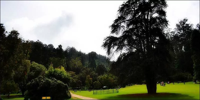 Botanical Gardens