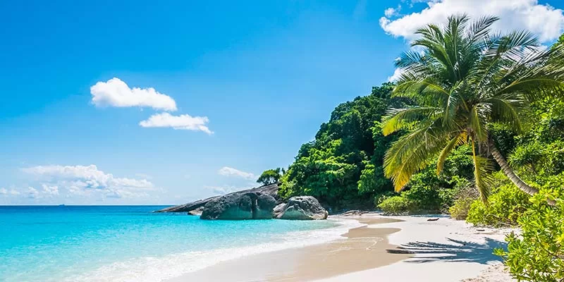 Tourist Places Near Goa